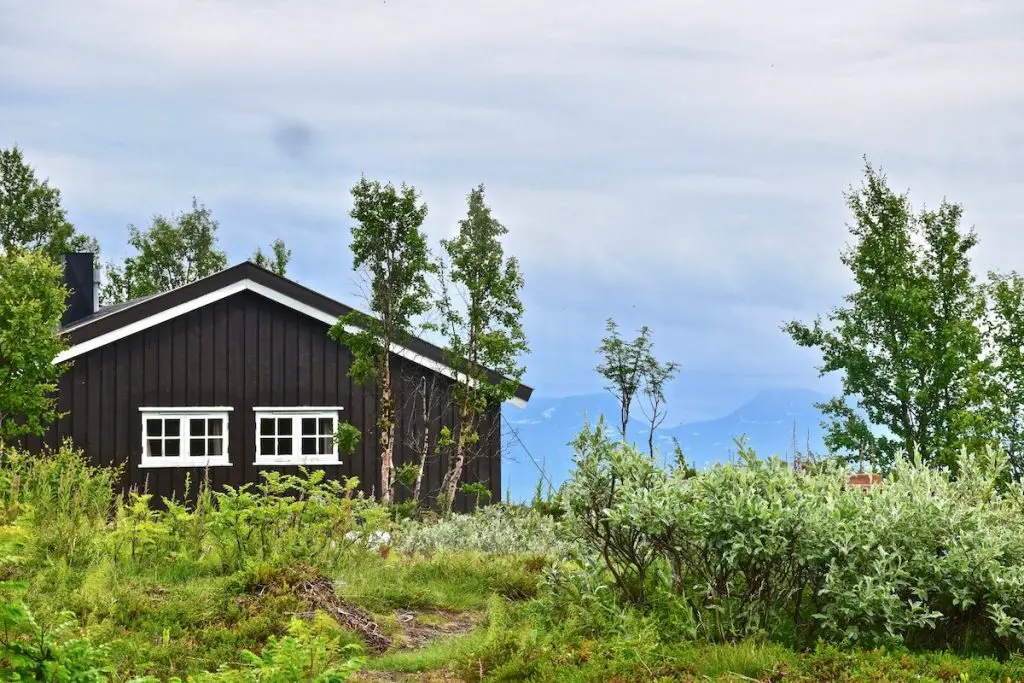 How Much To Have A Tiny House Built No 1 Guide 