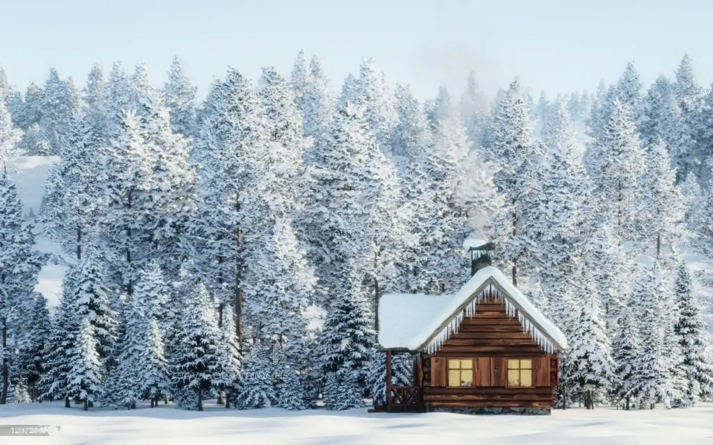 Log Cabin Tiny House