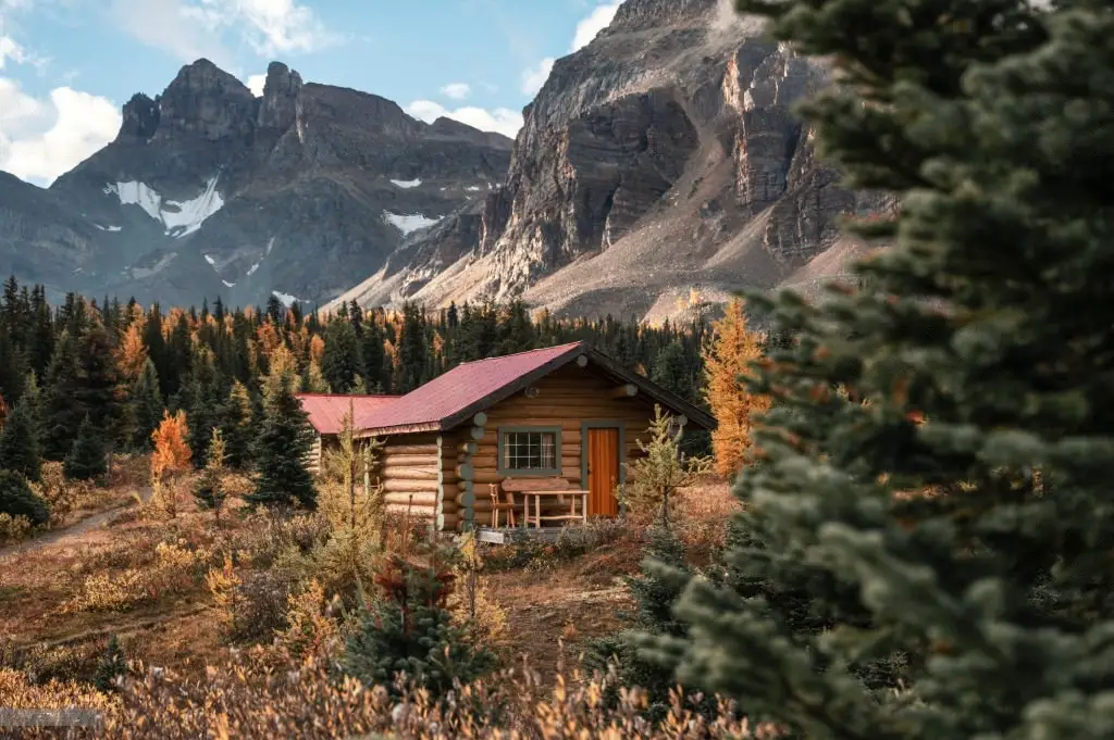 Log Cabin Tiny House