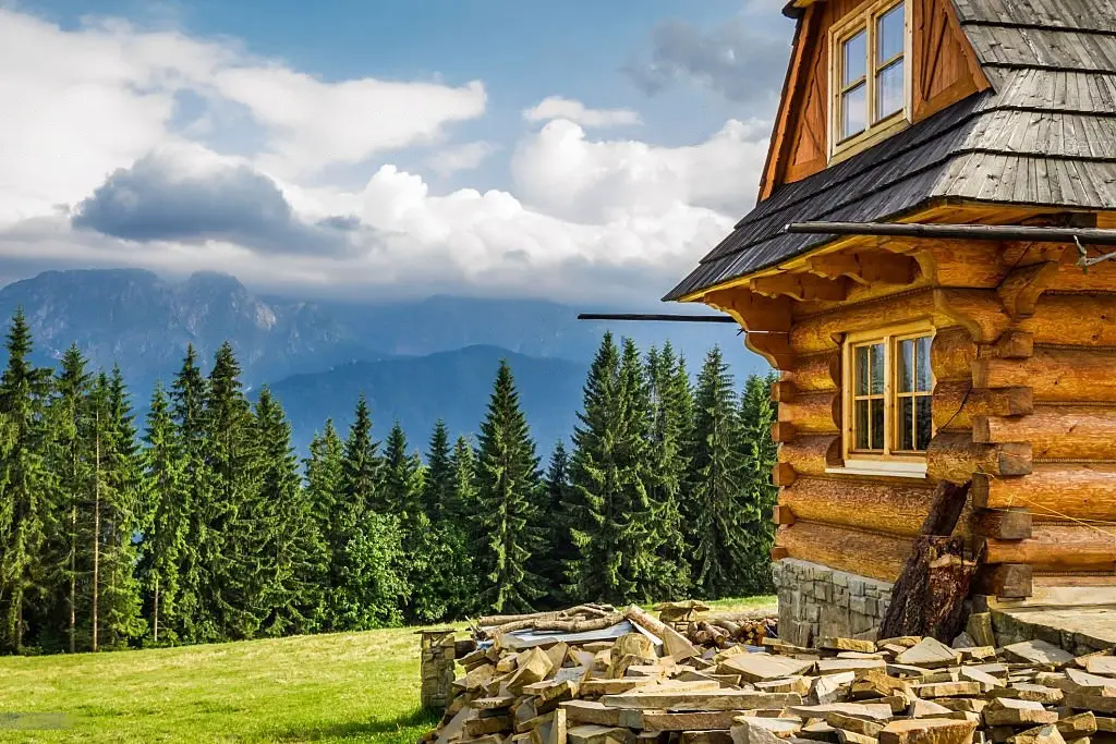 Log Cabin Tiny House