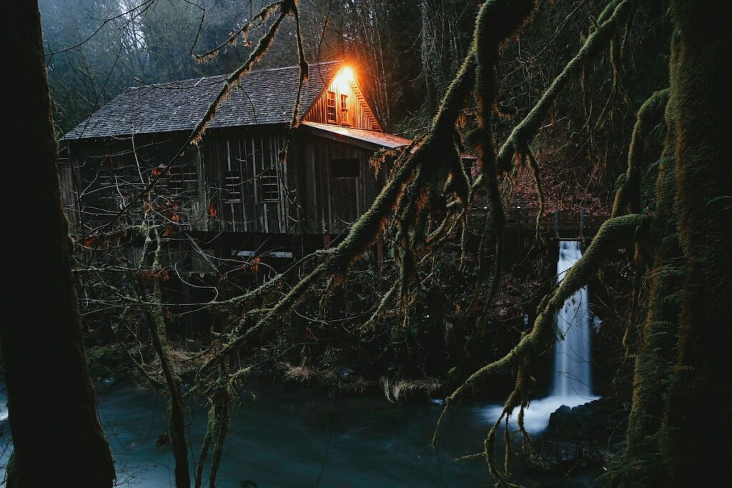 Small Cottage In The Woods